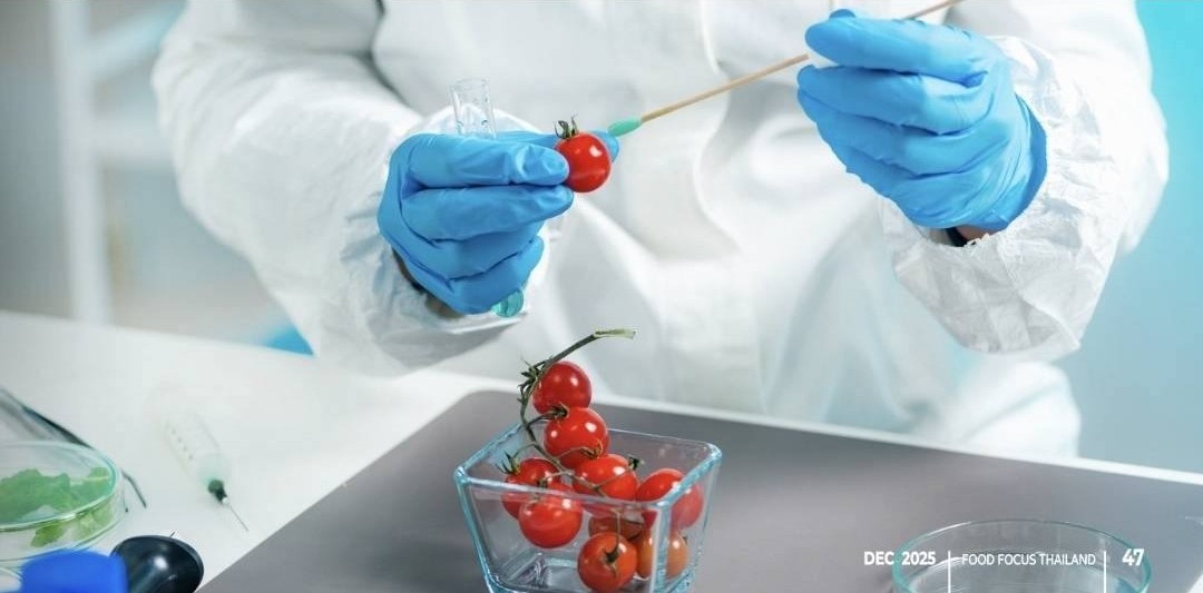 amazing caves coverimage